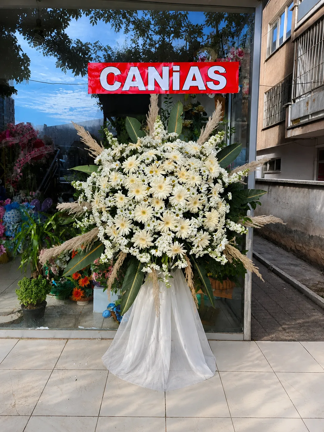 Beyaz Gerbera ve Pampas Ferforje Çiçeği